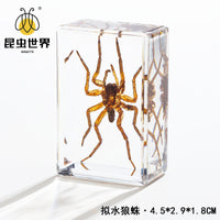 Real Insect Specimen in Clear Amber Resin Block for Educational Observation