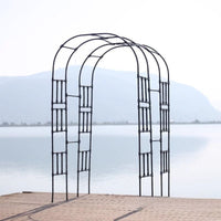 Stainless Steel Garden Arch Trellis for Climbing Plants, Outdoor Galvanized Iron Rose Archway