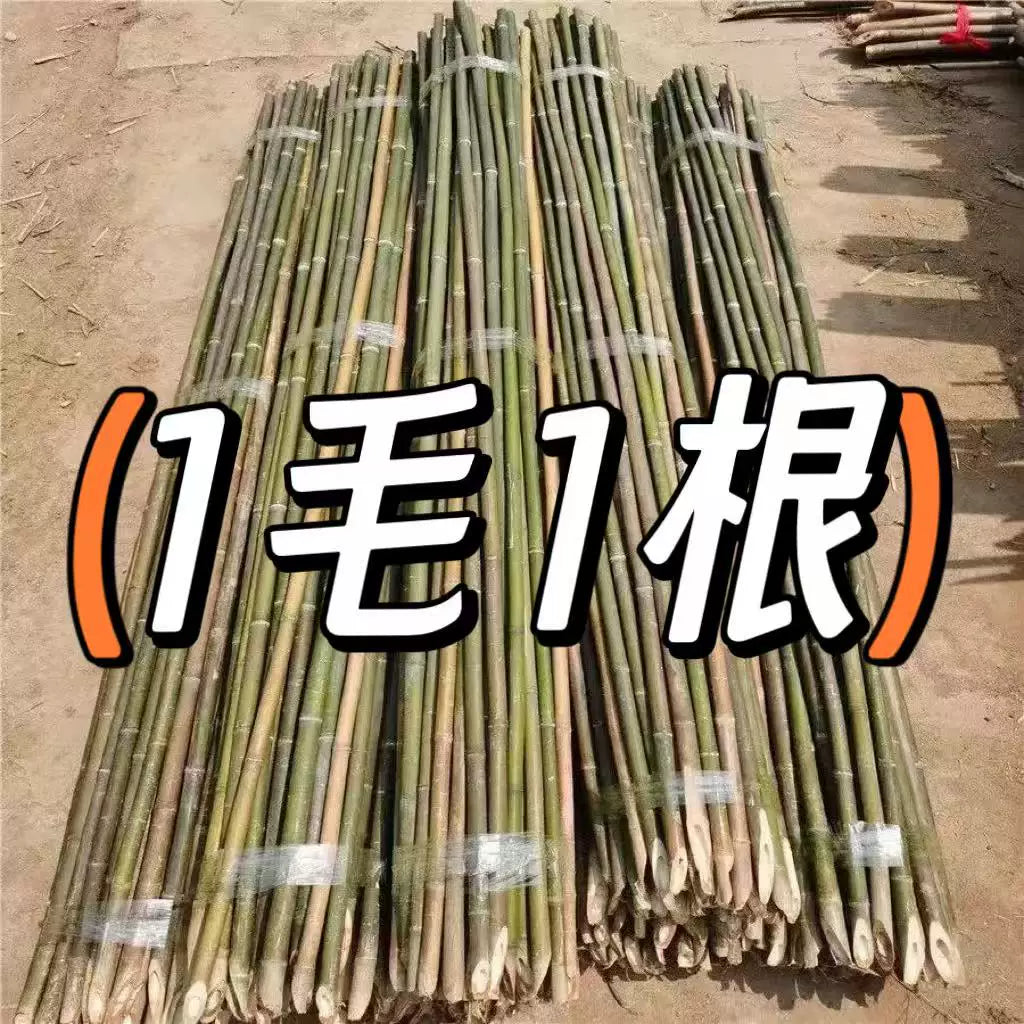 Natural Bamboo Stakes for Garden Plant Support, Climbing Vines, Fencing, and Flagpoles