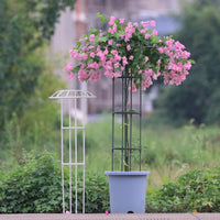 Garden Trellis for Climbing Plants, Clematis, Roses - Single Umbrella Ring Support