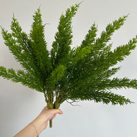 Artificial Foxtail Asparagus Fern Bush for Micro Landscape Decor