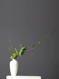 Artificial Vine Dried Branch Moss Plant Decoration for Floral Arrangements Home Indoor Background Window Display Wall Hanging Greenery