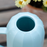 Long Spout Watering Can for Indoor Plants, Stainless Steel Curved Spout Watering Pot for Succulents and Garden