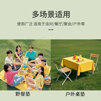 Disposable PEVA Picnic Mat & Tablecloth for Outdoor Camping & Parties