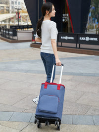 Portable Insulated Cooler Bag with Wheels for Outdoor Picnics and Food Delivery