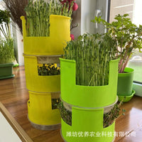 Round Hydroponic Seedling Tray for Home Gardening, Soilless Cultivation Germination Planter