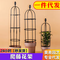 Metal Round Plant Trellis for Climbing Vines and Potted Plants