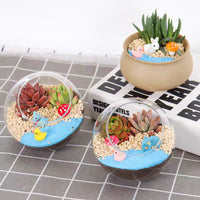 DIY Moss Terrarium Kit with Glass Bottle for Micro Landscape Decor