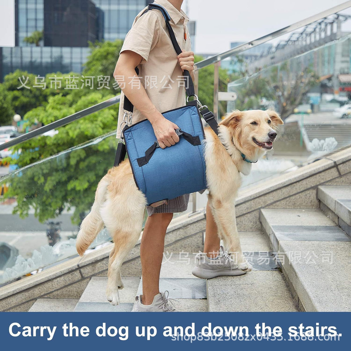 Pet Dog Support Harness for Rehabilitation and Walking Assistance