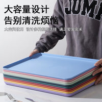 Extra-Thick Large Rectangular Bird Cage Tray for Parrot Myna