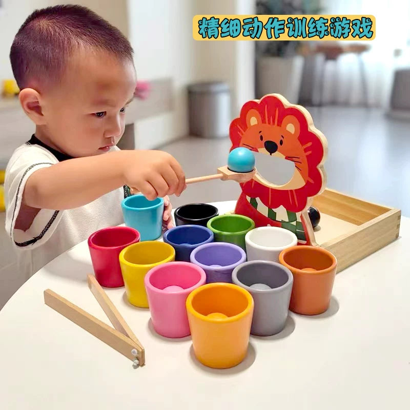 Montessori Fine Motor Skill Development Toy Set for Toddlers, Color Recognition Educational Game for Early Learning