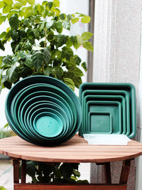 Round Clear Plastic Plant Pot Saucer Drip Tray for Root Control Pots