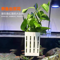Aquarium Plant Holder Wall-Mounted Aquatic Plant Cup for Fish Tank Decoration