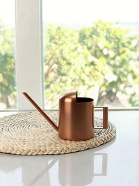 Stainless Steel Long Spout Watering Can for Indoor Plants, Succulents, and Kids - Mini 300ml to 1000ml