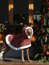 Christmas Pet Cloak for Dogs, Warm Winter Outfit with Plush Lining for Large Breeds