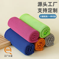 Cooling Sports Towel Quick Dry for Gym Workout and Outdoor Activities