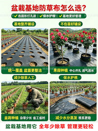 Biodegradable Weed Barrier Fabric for Potted Plants and Seedlings, Permeable and Durable