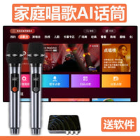 Wireless Bluetooth Karaoke Microphone System for TV Projector KTV Home Use with Echo Wall