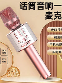 Wireless Bluetooth Karaoke Microphone with Sound Card for Mobile Phone TV Home Use