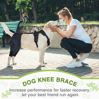 Pet Dog Leg Brace for Post-Surgery Recovery and Joint Protection