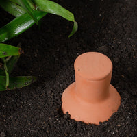 Terracotta Self-Watering Plant Spikes for Indoor and Outdoor Plants