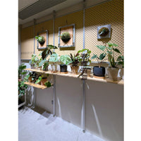 Minimalist Floor-to-Ceiling Aluminum Plant Stand Living Room Planter Shelf Storage Rack