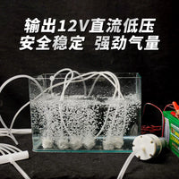 12V Portable Car Oxygen Air Pump for Live Fish Transport with Battery Clamps
