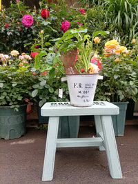 MOUVEMENT Wooden Garden Stool Plant Stand for Outdoor Patio Decor