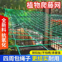 Plant Trellis Netting for Climbing Vegetables and Fruits, Heavy Duty Garden Support Mesh