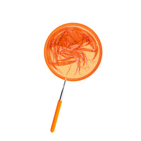 Kids' Telescopic Fishing Net for Catching Small Fish, Shrimp, and Butterflies, Durable Outdoor Landing Net