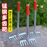 Detachable Clam Digging Rake Set for Beachcombing and Crabbing