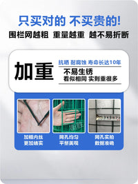 Plastic Coated Wire Mesh Fence for Poultry and Garden Enclosures
