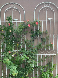 Metal Garden Trellis for Climbing Plants, Roses, Clematis - Outdoor Decorative Arch Support