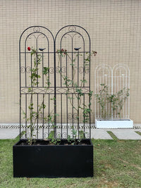 Clematis Climbing Trellis Rose Garden Fence Outdoor Metal Plant Support Frame Net