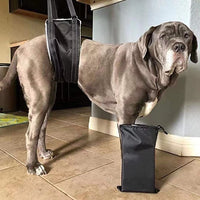 Portable Pet Mobility Harness for Injured Dogs and Cats - Walking Aid for Large Breeds
