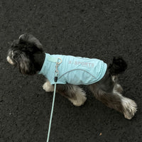 Pet Cooling Vest for Small Dogs & Cats, Summer Sun Protection & Anti-Shedding