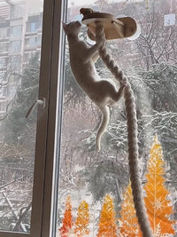 Wall-Mounted Cat Scratching Rope Climbing Post