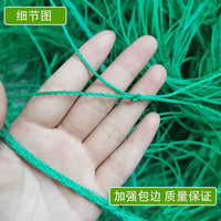 Garden Trellis Netting for Climbing Plants, Fruits, and Vegetables
