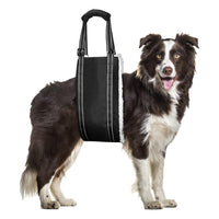 Dog Mobility Harness for Rear Leg Support - Pet Rehabilitation Aid for Injured, Disabled, or Senior Dogs