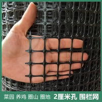 Plastic Mesh Fence for Poultry, Garden, and Outdoor Protection