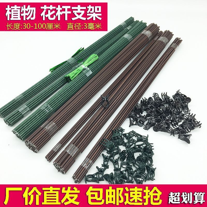 Orchid Plant Support Stakes with Clips for Climbing Vines and Flowers