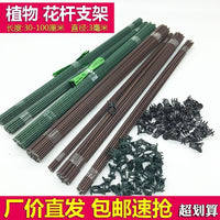 Orchid Plant Support Stakes with Clips for Climbing Vines and Flowers