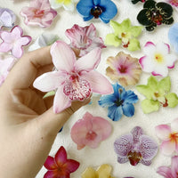 Floral PopSocket Phone Stand with Expanding Airbag Grip and Acrylic Drip Adhesive