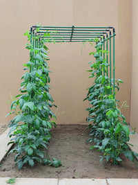 Garden Trellis for Climbing Plants, Vegetables, Tomatoes, Beans, and Flowers - Plant Support Frame
