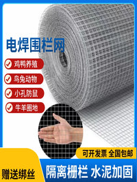 Galvanized Steel Wire Mesh Fence for Poultry, Rabbit, Bird Enclosures, Garden Barriers, and Rodent Protection