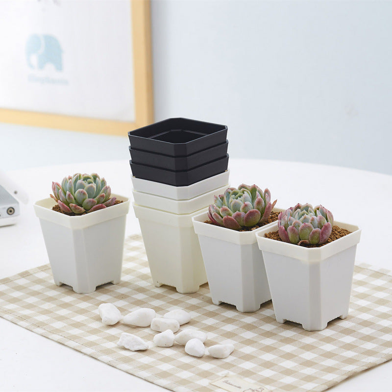 Thickened White Square Plastic Succulent Planter Pot for Seedlings and Cuttings