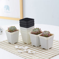 Thickened White Square Plastic Succulent Planter Pot for Seedlings and Cuttings