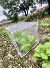 Mini Greenhouse Plant Cover for Succulents and Flowers, Outdoor Balcony Frost Protection and Insect Shield