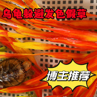 Artificial Kelp for Turtle Tank Decoration and Color Enhancement