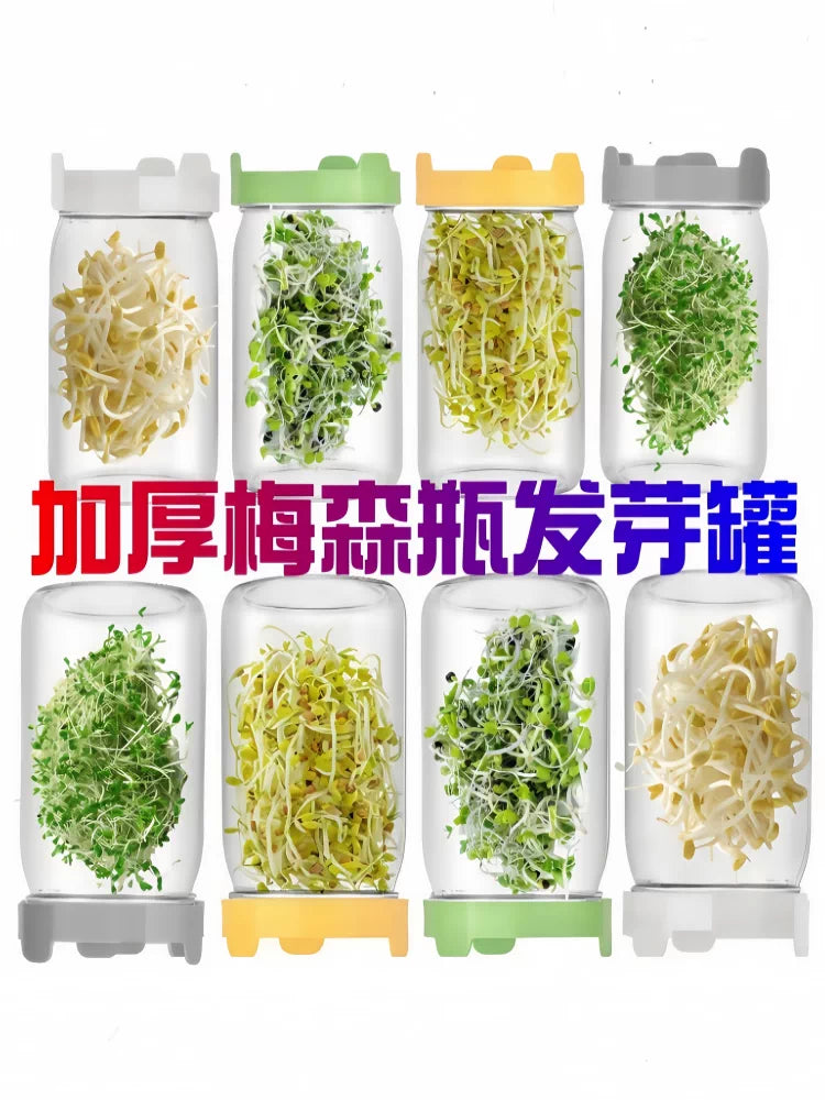 Mason Jar Sprouting Kit for Hydroponic Broccoli Alfalfa Sprouts, Thick Glass Seedling Bottle